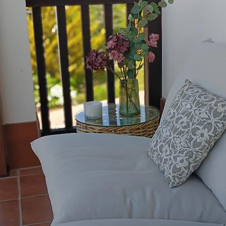 Aneto Duplex En Apartment Badaguas